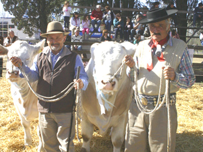 Expo-Rural-Pergamino-2008-233