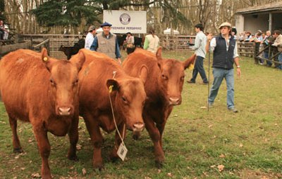 Expo-Rural-Pergamino-2010-731