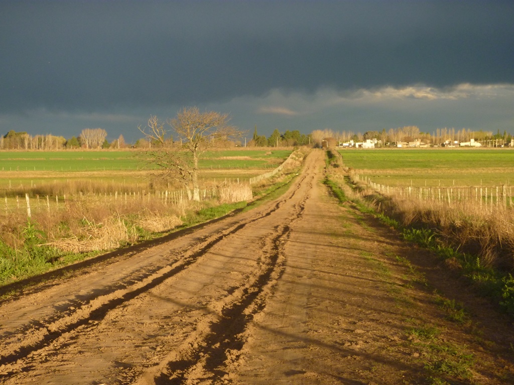 Caminito que me viste pasar