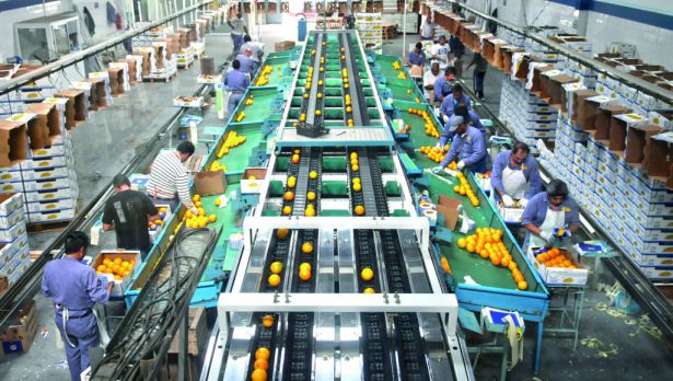 En 2017 bajaron las exportaciones de gran parte de los productos de las economías regionales