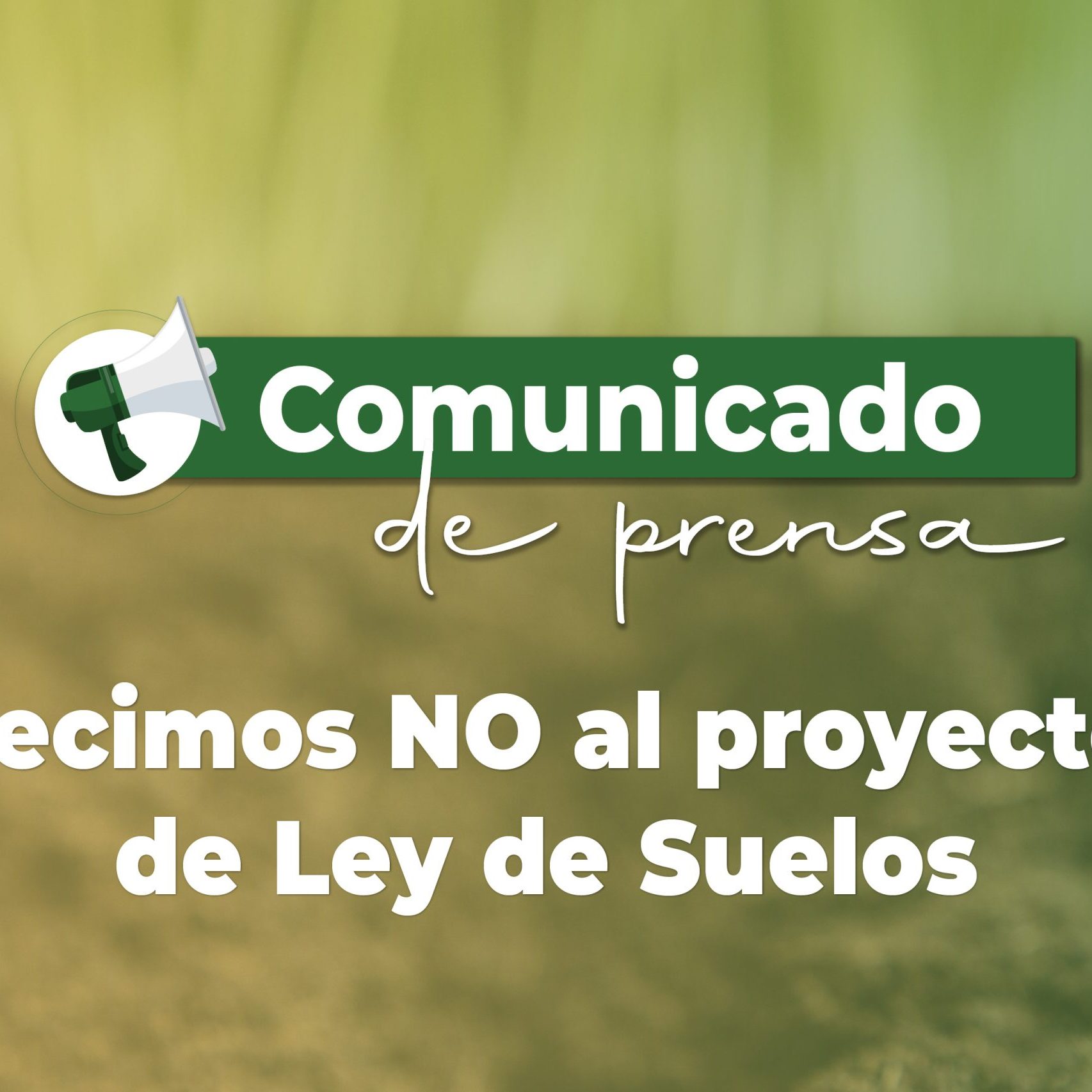 20251104 Comunicado señor presidente_Web