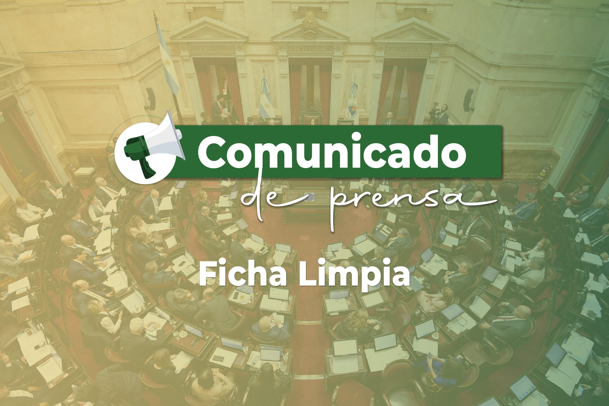 Ficha Limpia