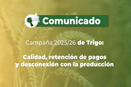 Trigo: Calidad, retención de pagos y desconexión con la producción