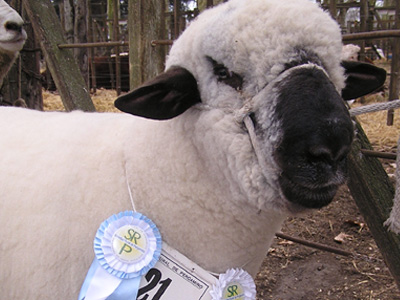 Expo-Rural-Pergamino-2007-110