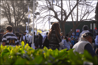 Expo-Rural-Pergamino-2011-1461