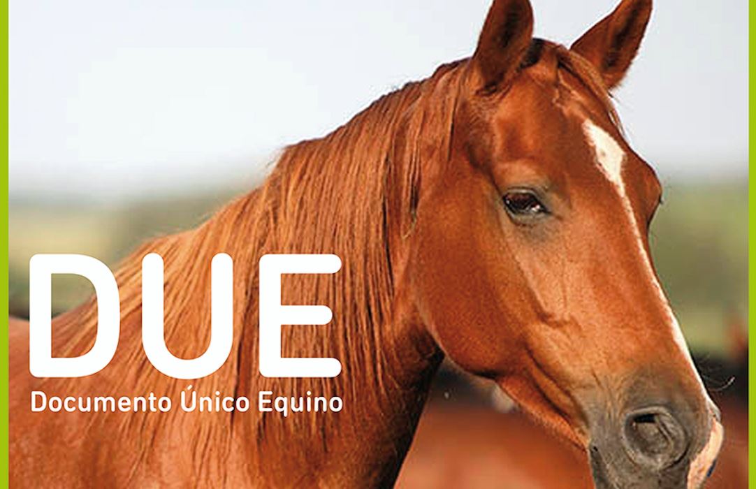 Documento Único Equino