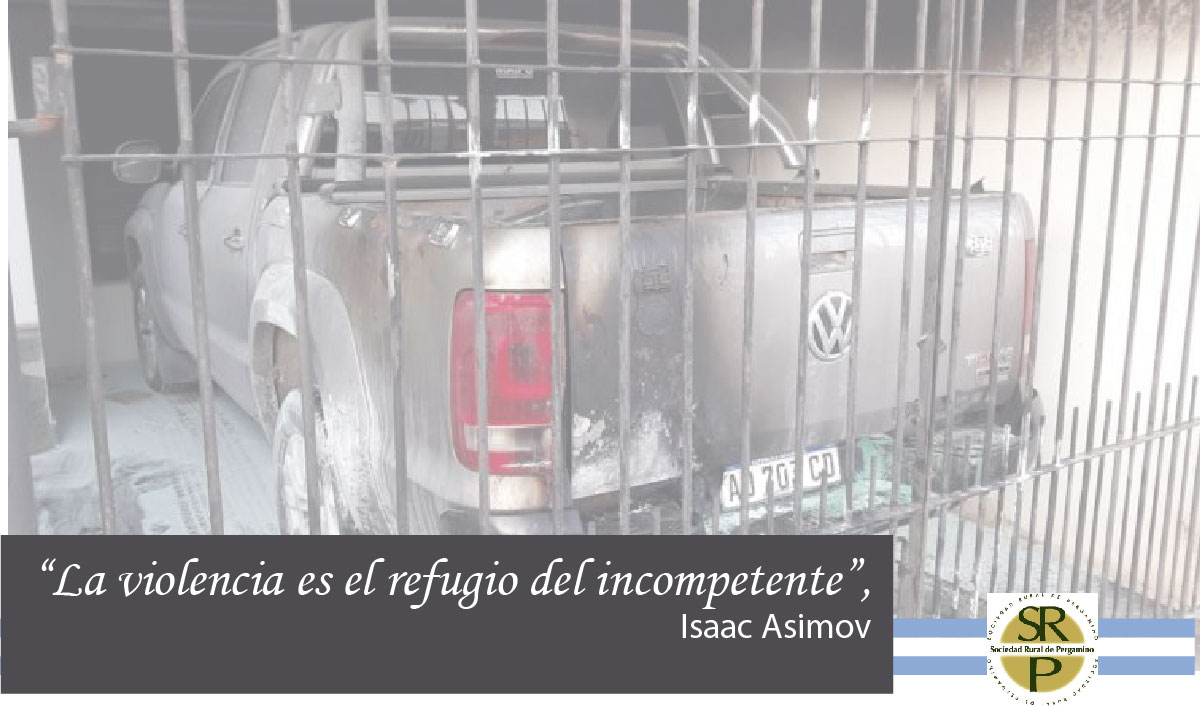 Placa redes