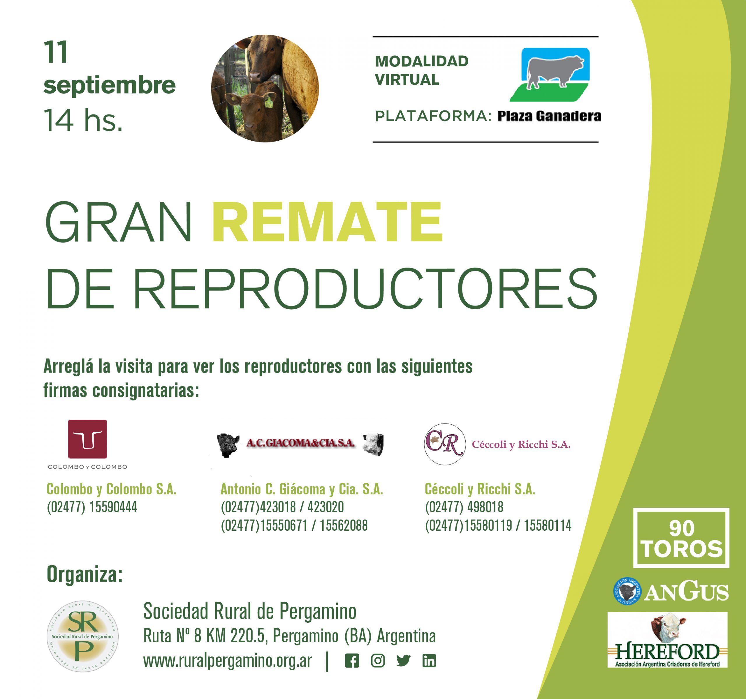 20200908 Gran Remate Ganadero II