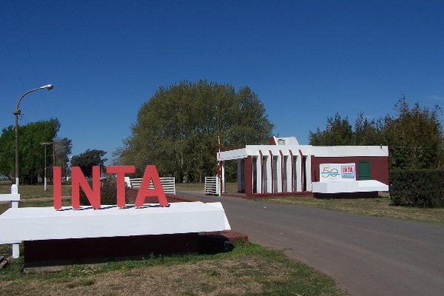INTA