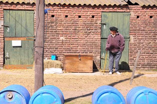 Pista-hipica-y-corrales-para-equinos-Sociedad-Rural-de-Pergamino-21