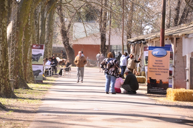 Predio-Ferial-Sociedad-Rural-de-Pergamino-14